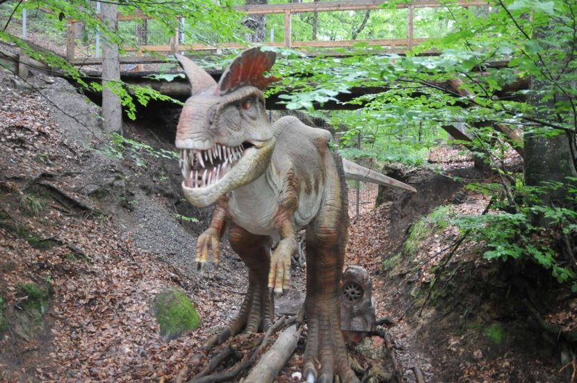  - 2018 DINO PARK SI PESTERA CETATII