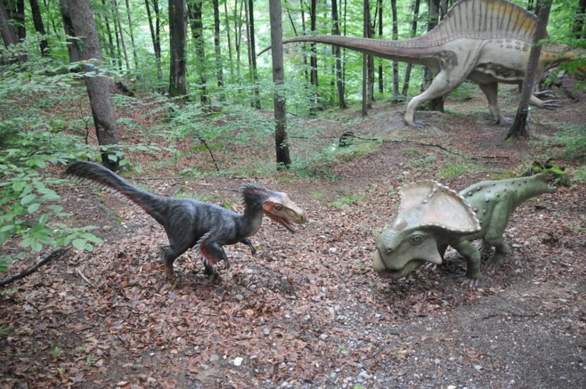  - 2018 DINO PARK SI PESTERA CETATII