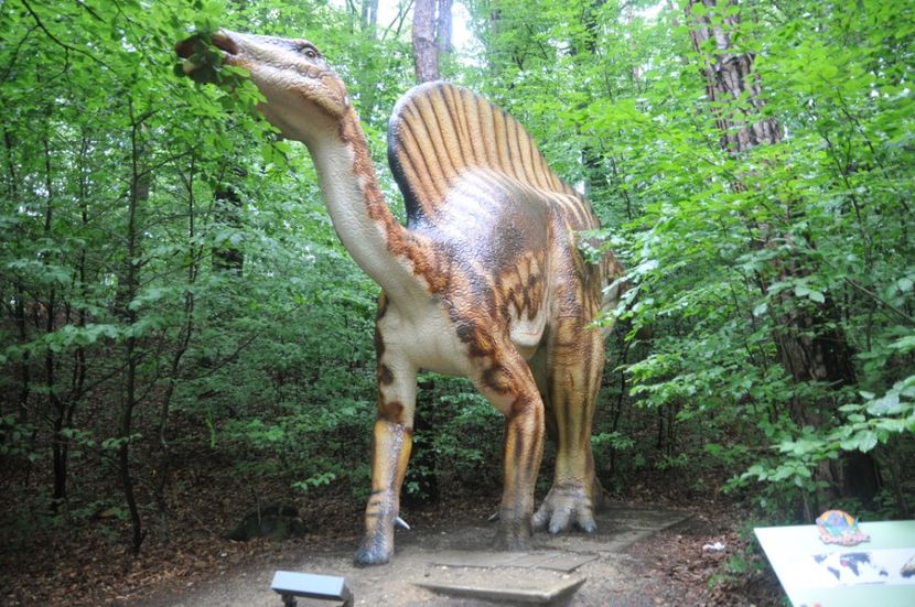  - 2018 DINO PARK SI PESTERA CETATII