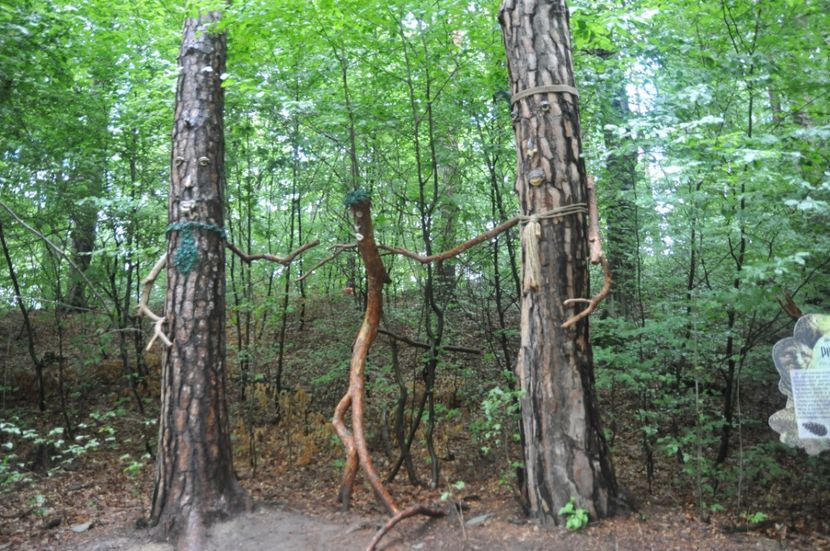  - 2018 DINO PARK SI PESTERA CETATII