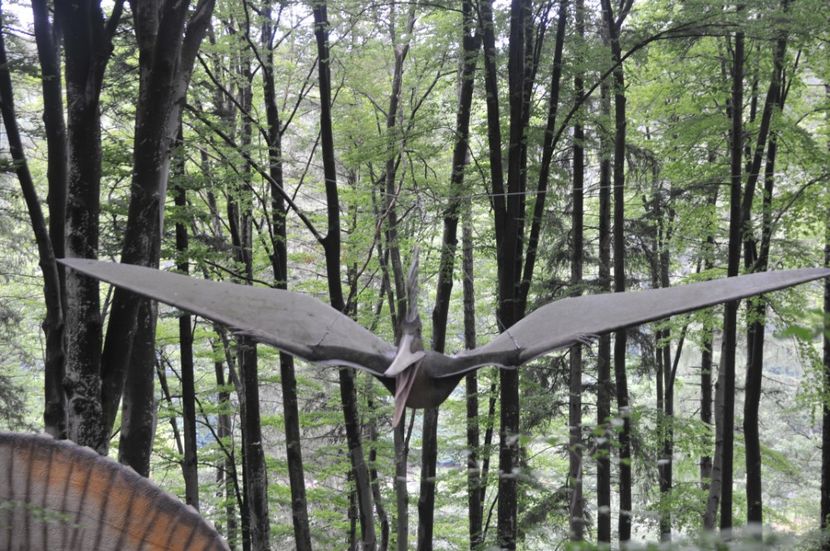  - 2018 DINO PARK SI PESTERA CETATII