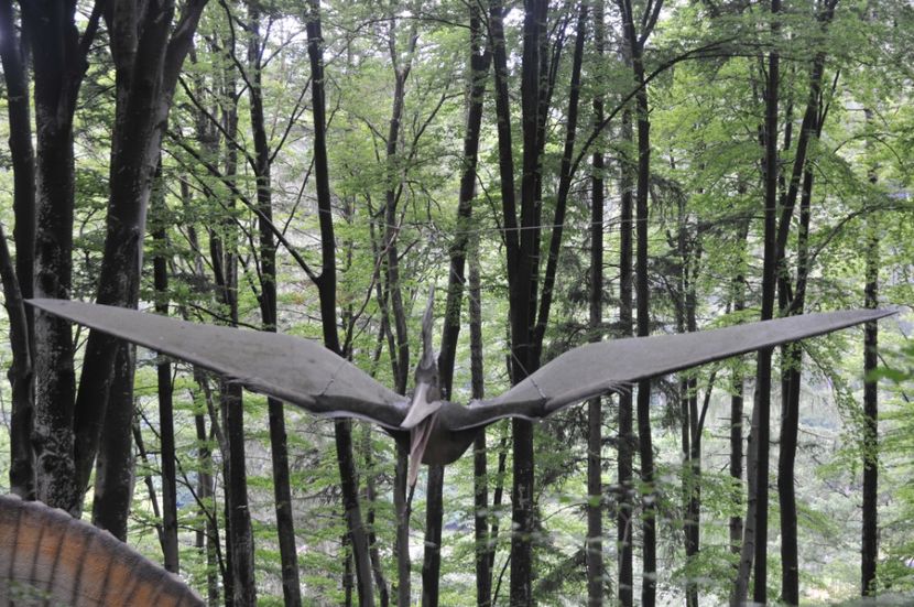  - 2018 DINO PARK SI PESTERA CETATII