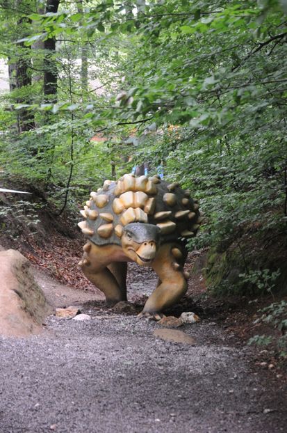  - 2018 DINO PARK SI PESTERA CETATII