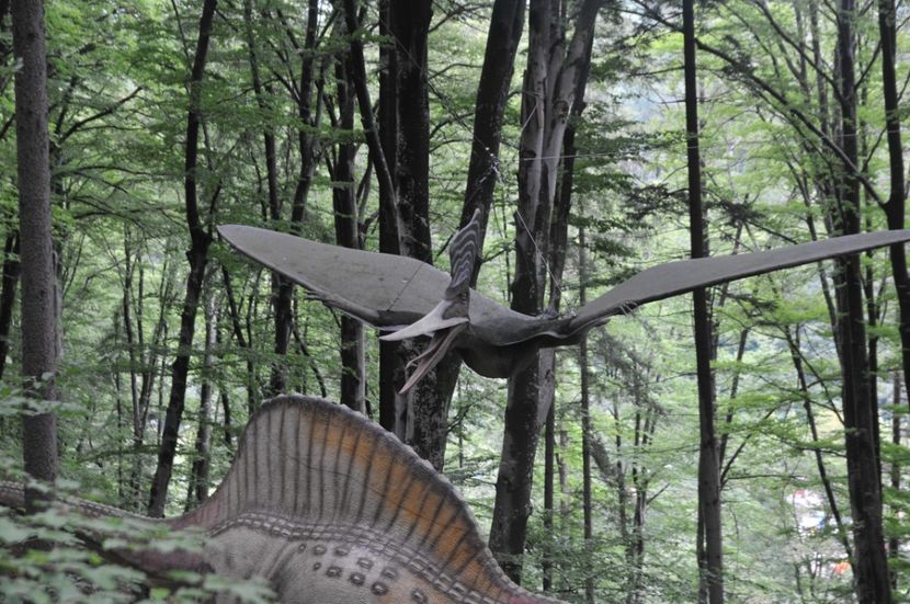  - 2018 DINO PARK SI PESTERA CETATII
