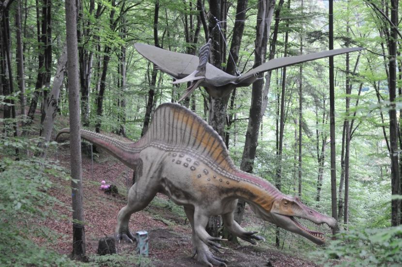  - 2018 DINO PARK SI PESTERA CETATII