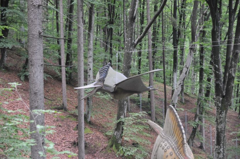  - 2018 DINO PARK SI PESTERA CETATII