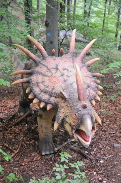  - 2018 DINO PARK SI PESTERA CETATII