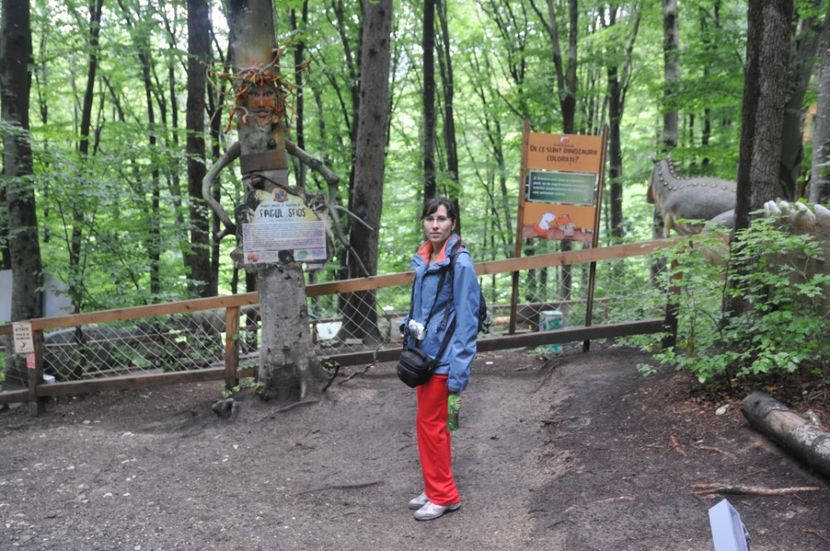  - 2018 DINO PARK SI PESTERA CETATII