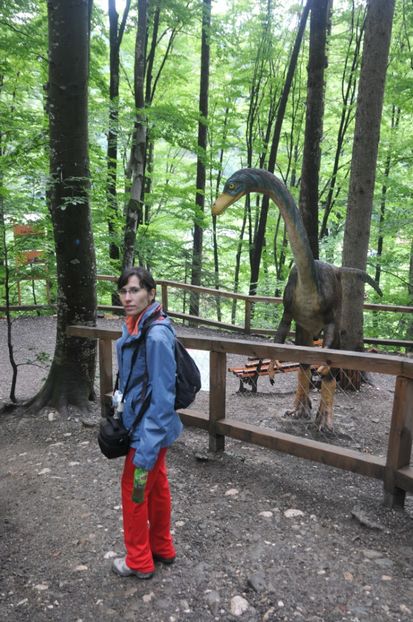  - 2018 DINO PARK SI PESTERA CETATII