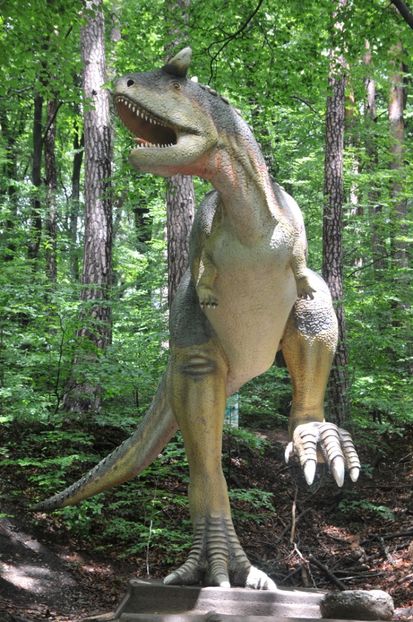  - 2018 DINO PARK SI PESTERA CETATII