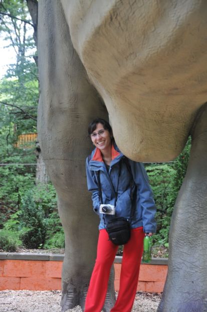  - 2018 DINO PARK SI PESTERA CETATII