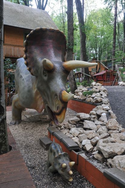  - 2018 DINO PARK SI PESTERA CETATII