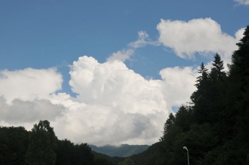  - 2018 DINO PARK SI PESTERA CETATII