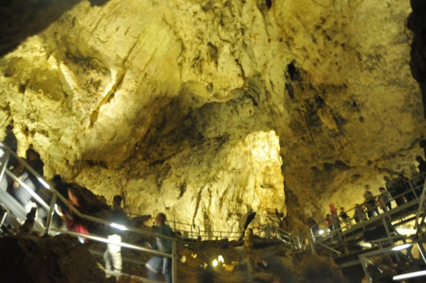  - 2018 DINO PARK SI PESTERA CETATII