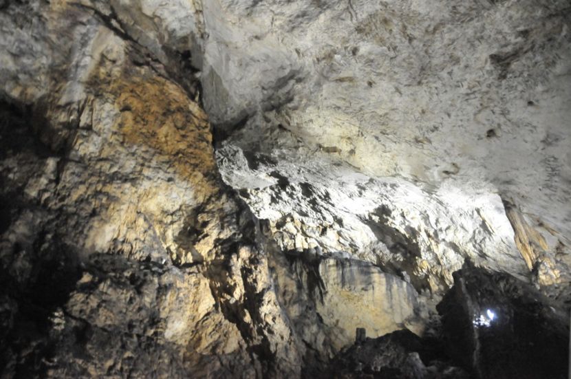  - 2018 DINO PARK SI PESTERA CETATII