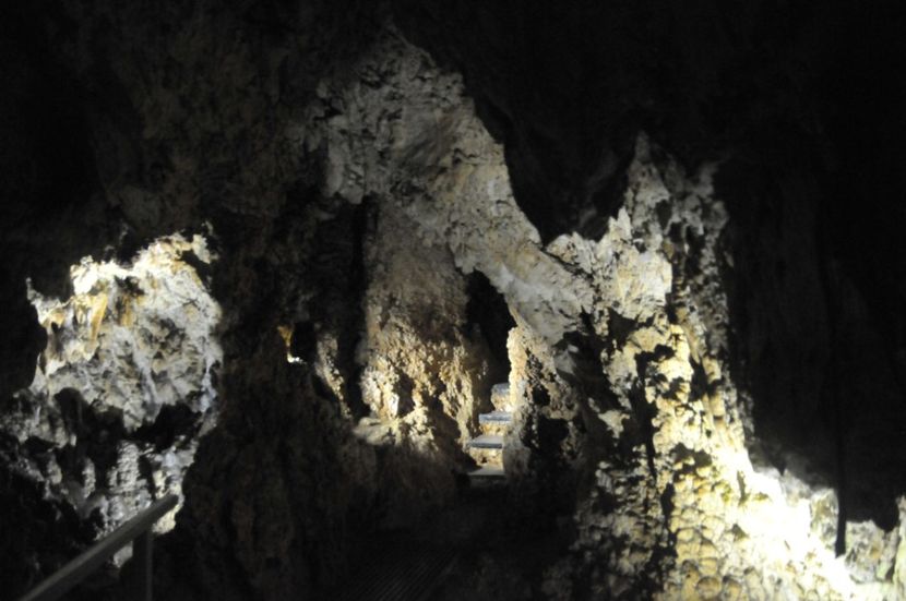  - 2018 DINO PARK SI PESTERA CETATII