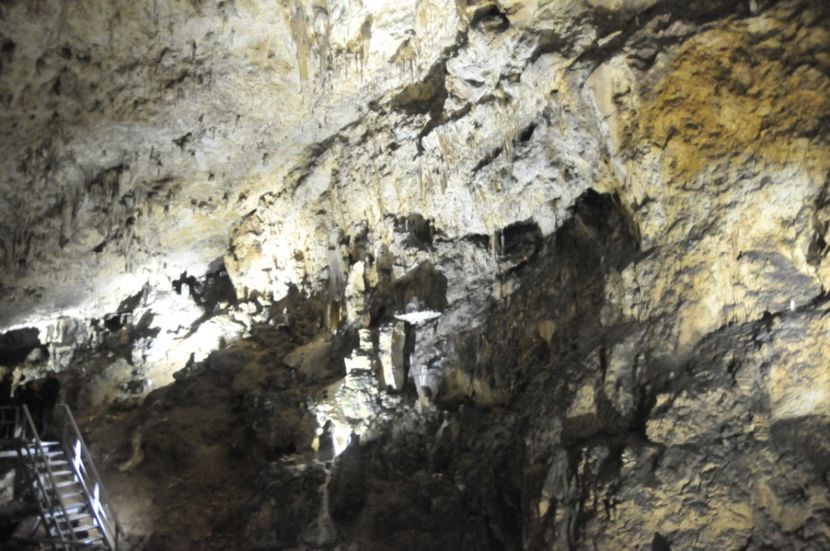  - 2018 DINO PARK SI PESTERA CETATII