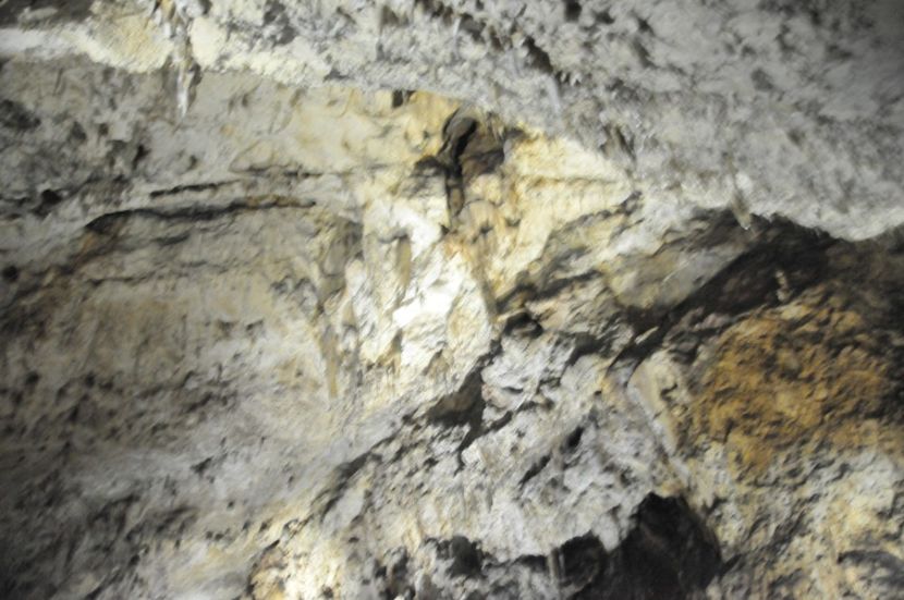  - 2018 DINO PARK SI PESTERA CETATII