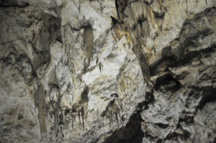  - 2018 DINO PARK SI PESTERA CETATII