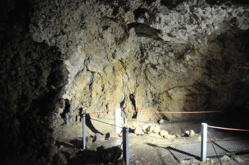  - 2018 DINO PARK SI PESTERA CETATII