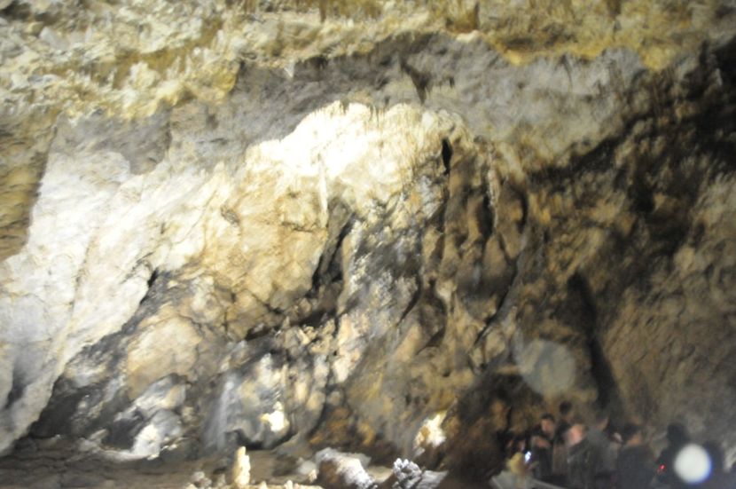  - 2018 DINO PARK SI PESTERA CETATII