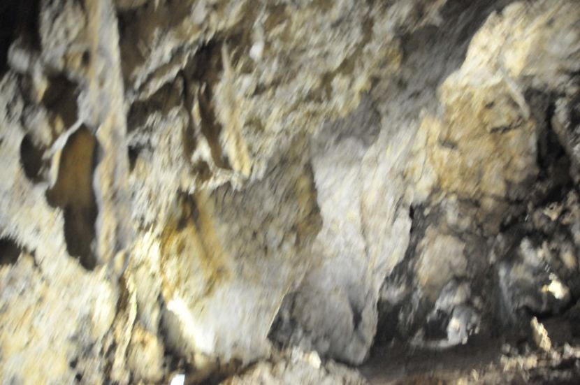  - 2018 DINO PARK SI PESTERA CETATII