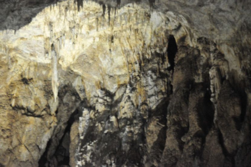  - 2018 DINO PARK SI PESTERA CETATII