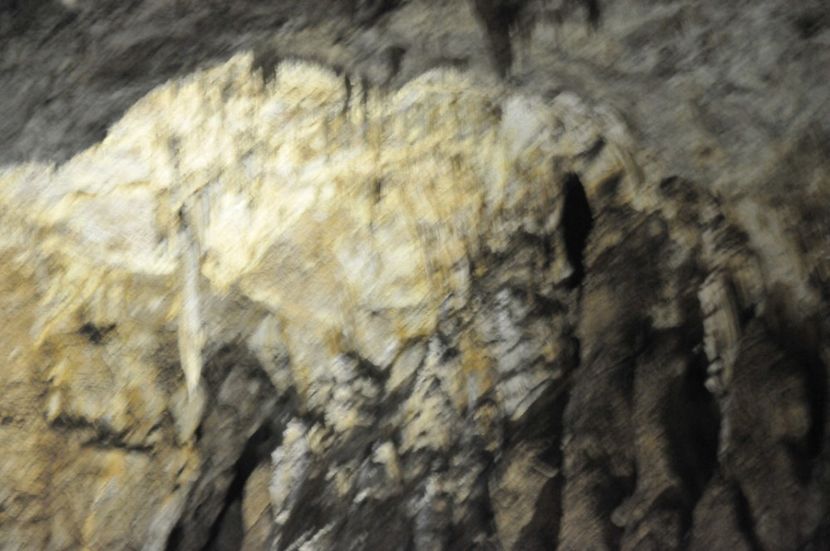  - 2018 DINO PARK SI PESTERA CETATII