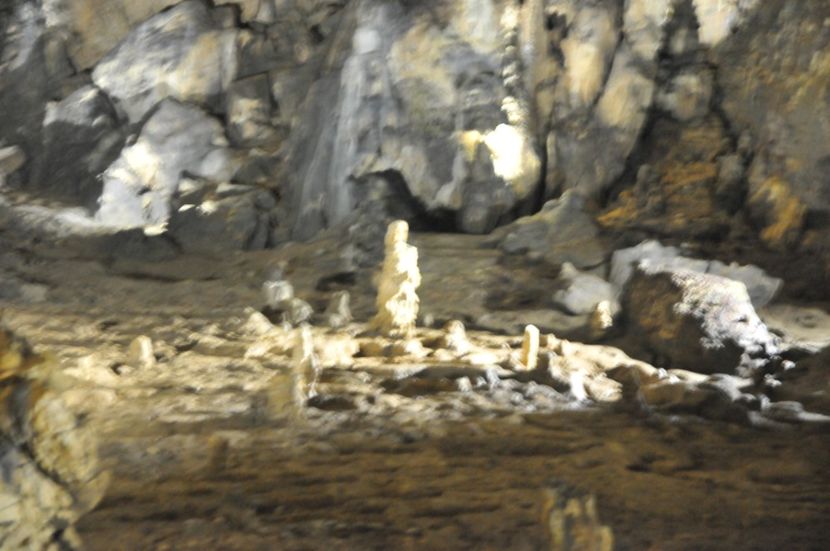  - 2018 DINO PARK SI PESTERA CETATII