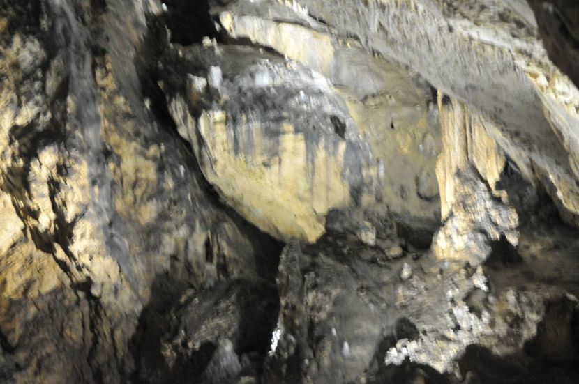  - 2018 DINO PARK SI PESTERA CETATII