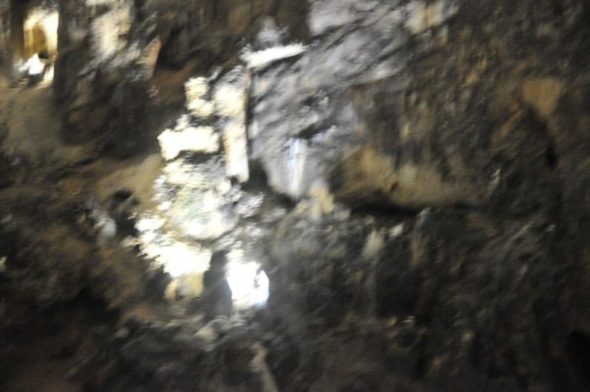  - 2018 DINO PARK SI PESTERA CETATII