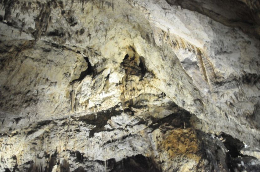  - 2018 DINO PARK SI PESTERA CETATII