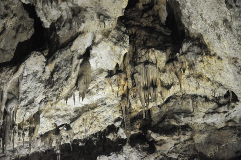  - 2018 DINO PARK SI PESTERA CETATII