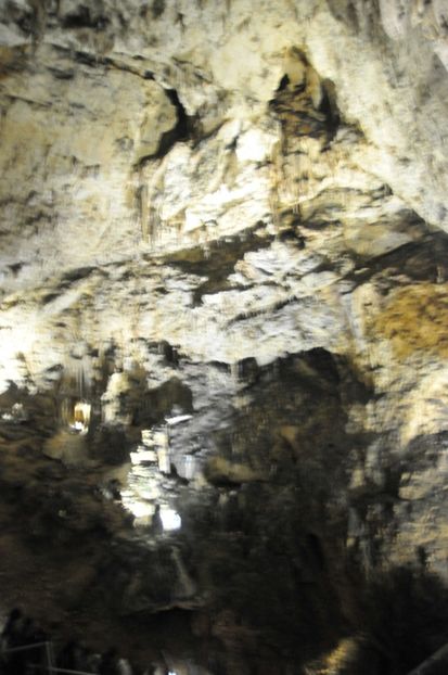  - 2018 DINO PARK SI PESTERA CETATII