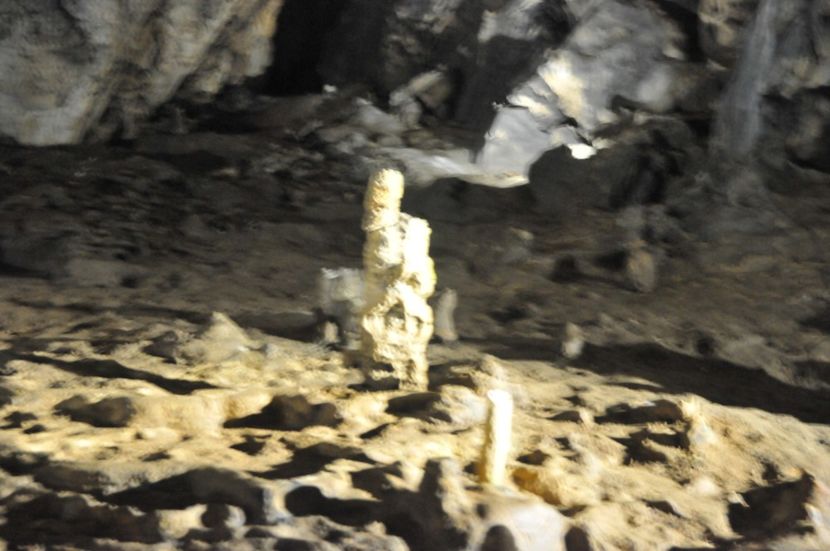  - 2018 DINO PARK SI PESTERA CETATII