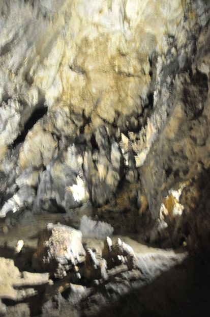  - 2018 DINO PARK SI PESTERA CETATII