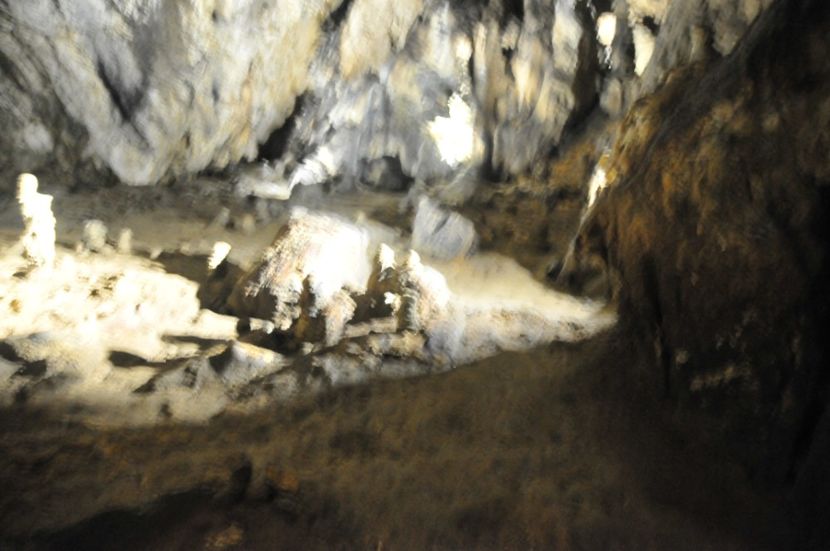  - 2018 DINO PARK SI PESTERA CETATII