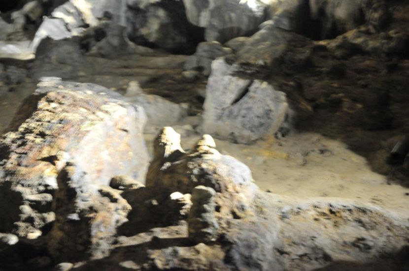  - 2018 DINO PARK SI PESTERA CETATII