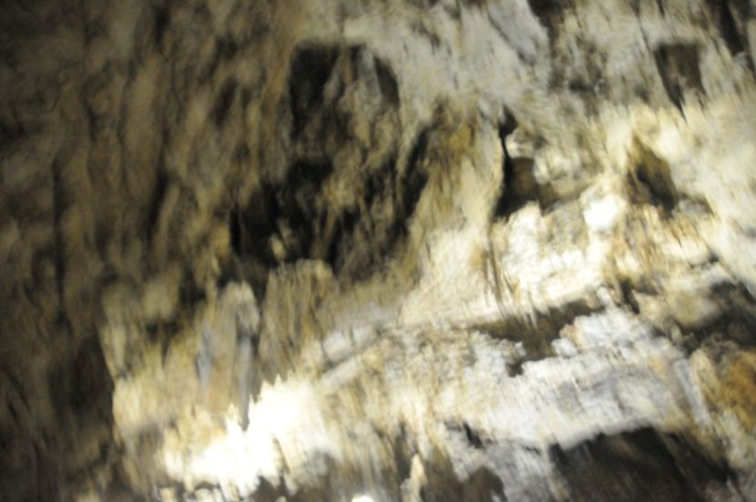  - 2018 DINO PARK SI PESTERA CETATII