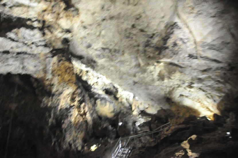  - 2018 DINO PARK SI PESTERA CETATII