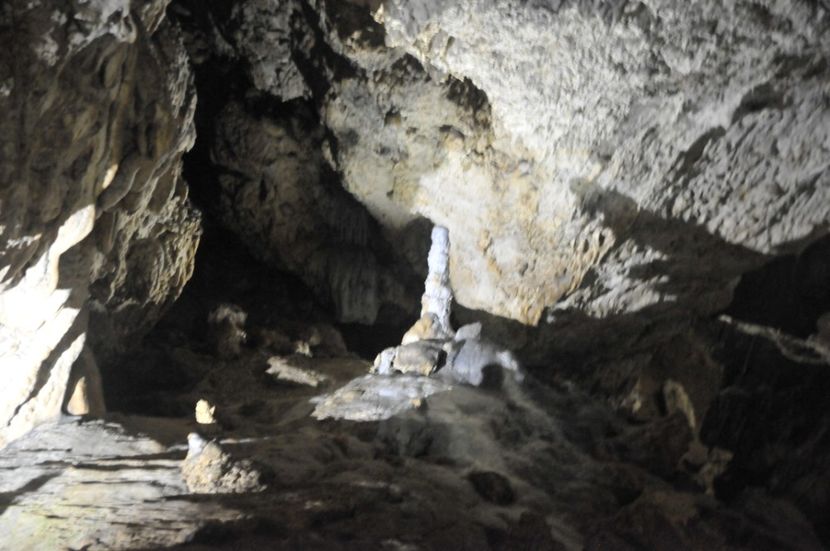  - 2018 DINO PARK SI PESTERA CETATII