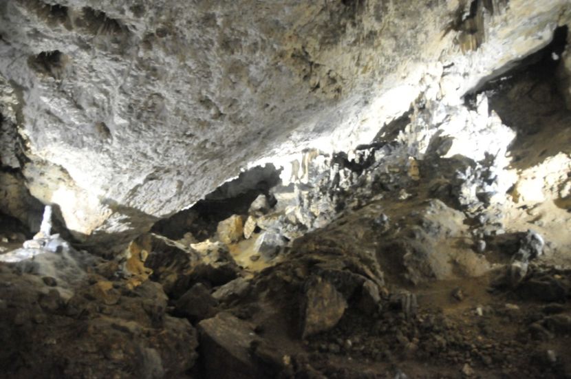  - 2018 DINO PARK SI PESTERA CETATII