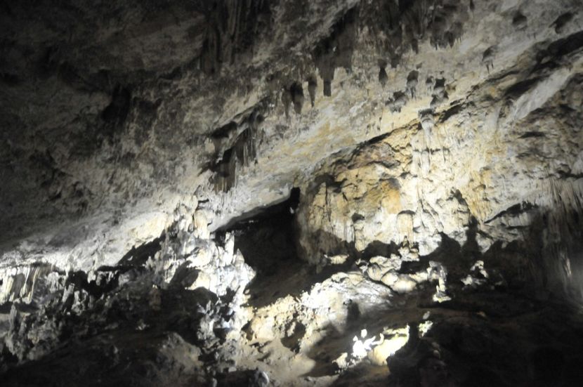  - 2018 DINO PARK SI PESTERA CETATII