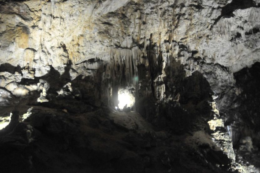  - 2018 DINO PARK SI PESTERA CETATII