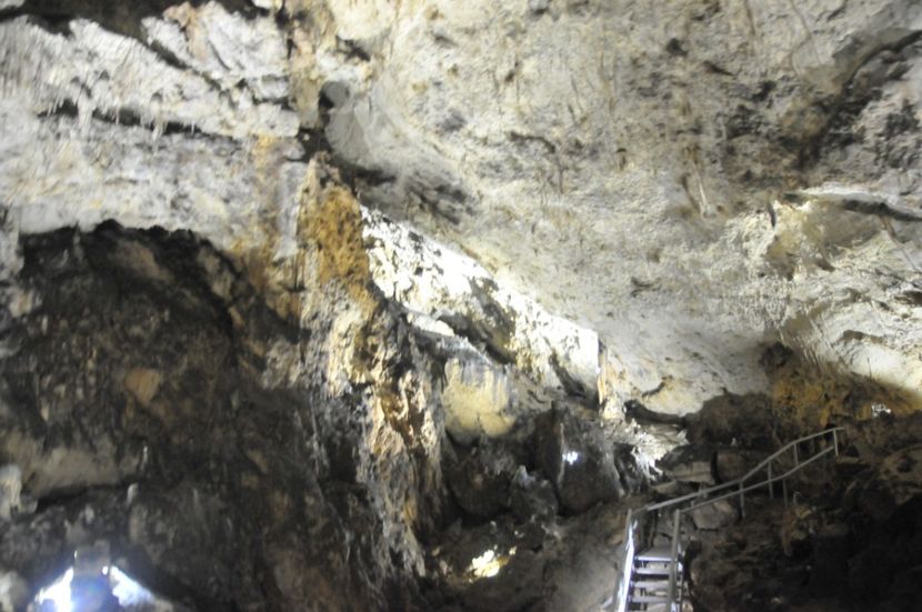  - 2018 DINO PARK SI PESTERA CETATII