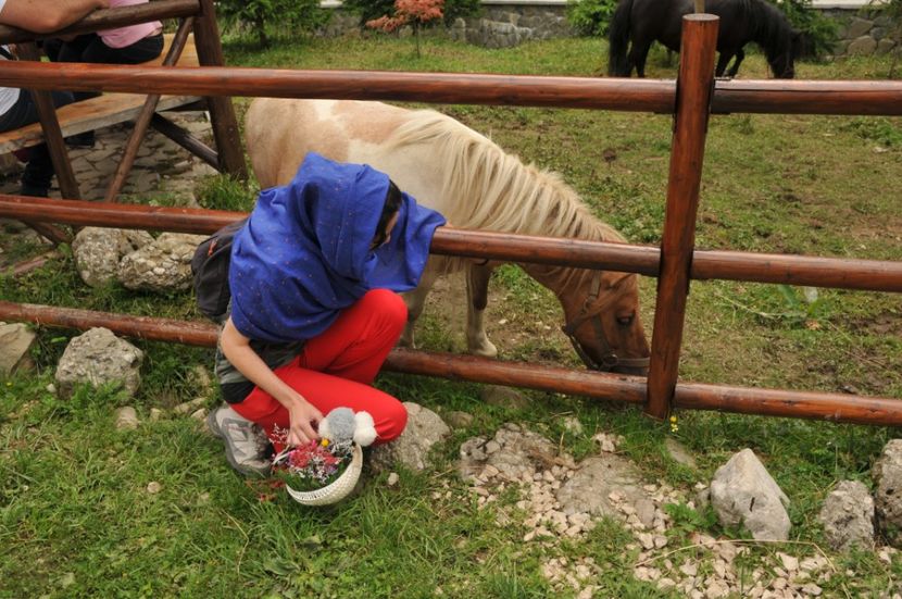  - 2018 MAN CARAIMAN CHEILE RAMETULUI APUSENI