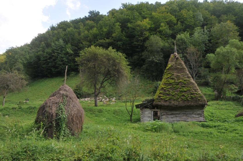  - 2018 MAN CARAIMAN CHEILE RAMETULUI APUSENI