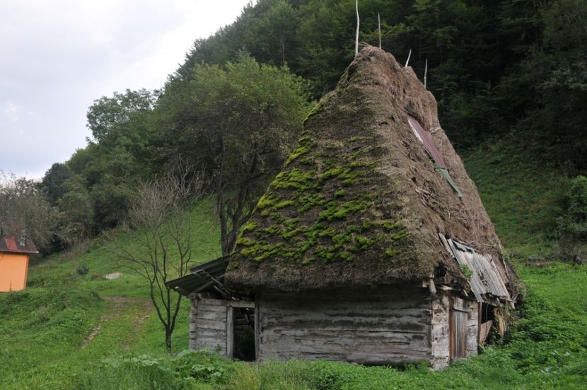  - 2018 MAN CARAIMAN CHEILE RAMETULUI APUSENI