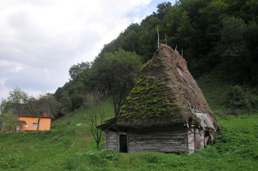  - 2018 MAN CARAIMAN CHEILE RAMETULUI APUSENI