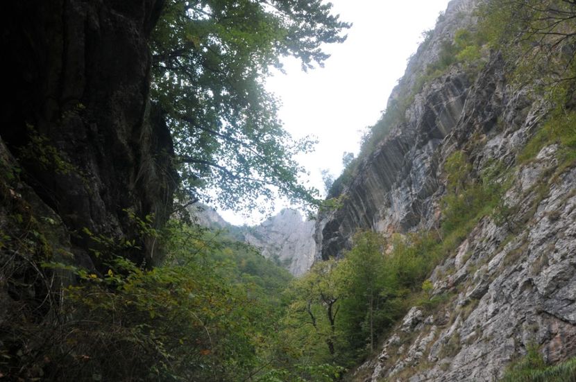  - 2018 MAN CARAIMAN CHEILE RAMETULUI APUSENI